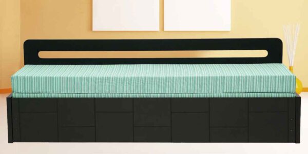 Noiro Sofa Cum Bed in Wenge Finish by FernIndia.com