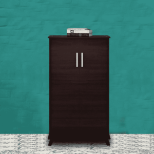 Ajunad 2 Door Tall Shoe Cabinet in Wenge Finish by Fern India