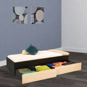 Egroeg Single Bed with Storage in Wenge Finish by Fern India