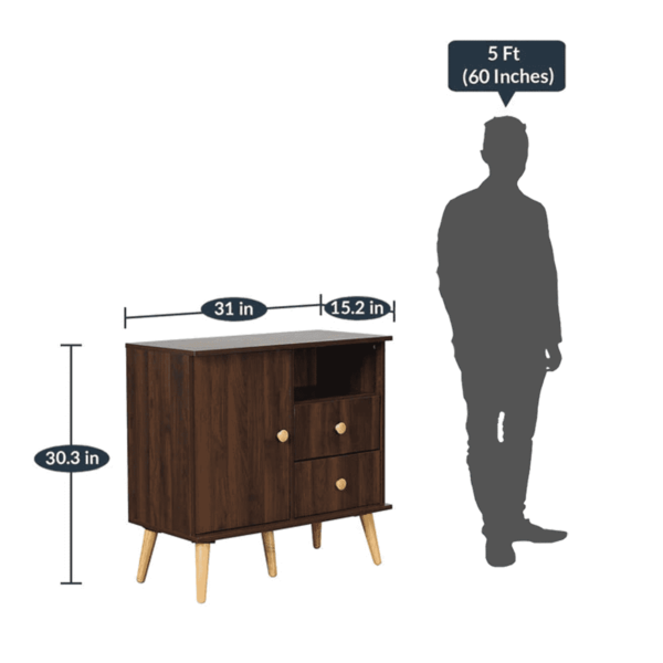 Okirik Cabinet with Two Drawers in Columbia Walnut Finish by Fern India