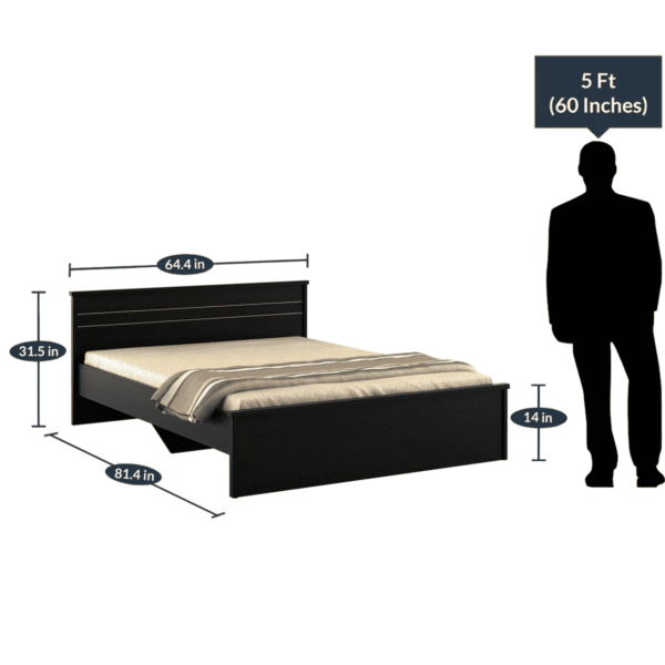 Lavinrac Queen Size Bed in Wenge Finish by Fern India