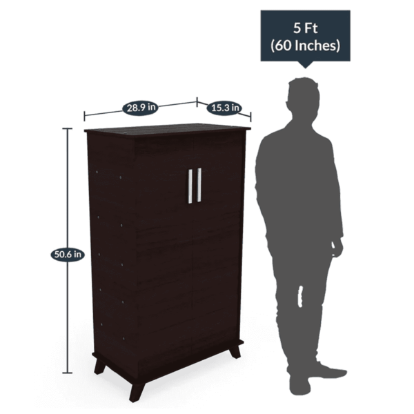 Ajunad 2 Door Tall Shoe Cabinet in Wenge Finish by Fern India