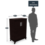 Yriak2 Door Shoe Cabinet in Wenge Finish by Fern India