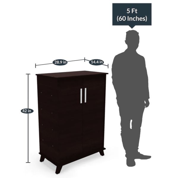 Yriak2 Door Shoe Cabinet in Wenge Finish by Fern India