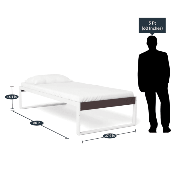 QE Single Single Bed in Off White & Brown Finish by Fern India
