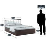 Citcra Queen Size Bed with Storage in Choco Walnut Finish by Fern India
