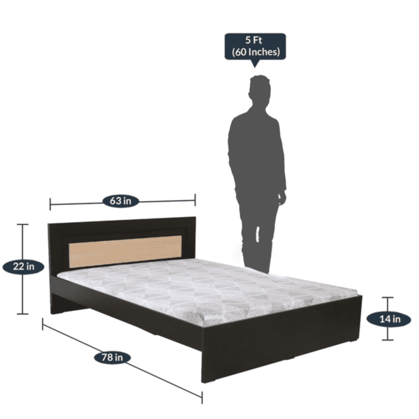 Nodalc Queen Size Bed in Wenge Finish By Fern India