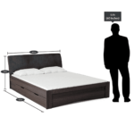 Ujnihs Queen Size Upholstered Bed with Storage in Wenge Finish By Fern India