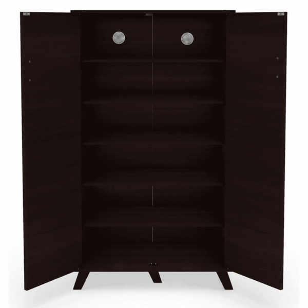 Ajunad 2 Door Tall Shoe Cabinet in Wenge Finish by Fern India