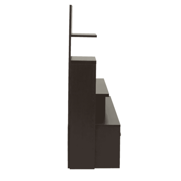 YoraTV Unit in Wenge Finish by Fern India