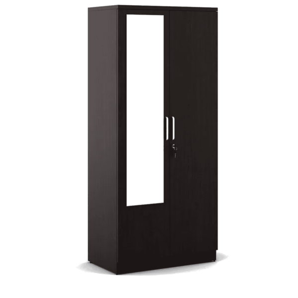 Omsok Weave 2 Door Wardrobe in Vermount Finish by Fern India