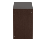Iriak Shoe Rack in Columbia Walnut Finish by Fern India