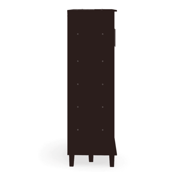 Ajunad 2 Door Tall Shoe Cabinet in Wenge Finish by Fern India