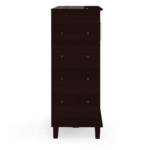 Yriak2 Door Shoe Cabinet in Wenge Finish by Fern India