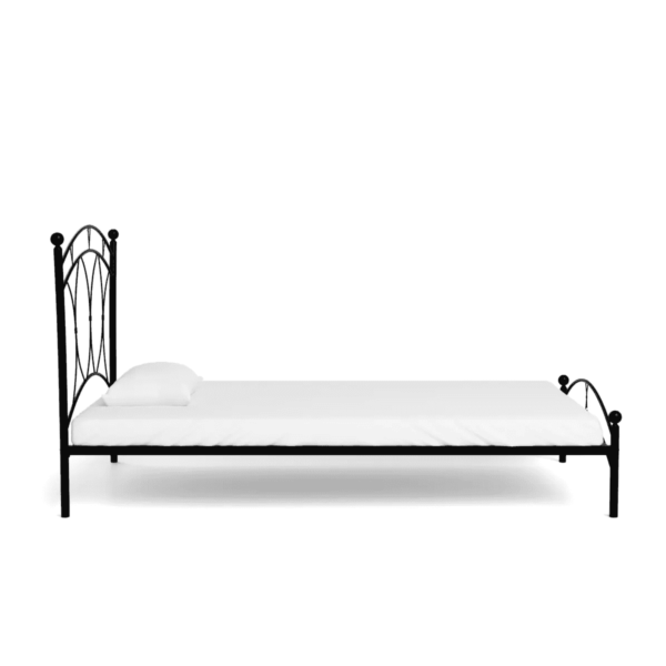 Ardyh Single Bed in Black Finish by Fern India