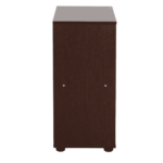 Aian Storage Cabinet in Columbia Walnut Finish by Fern India