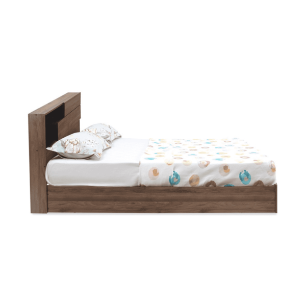 Nedrob Queen Size Bed in Brown Colour by Fern India