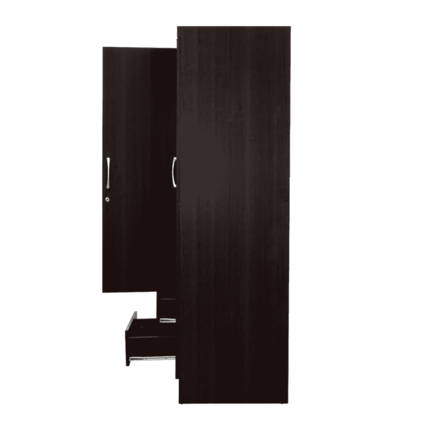 Okiran 4 Door Wardrobe in Wenge Finish by Fern India