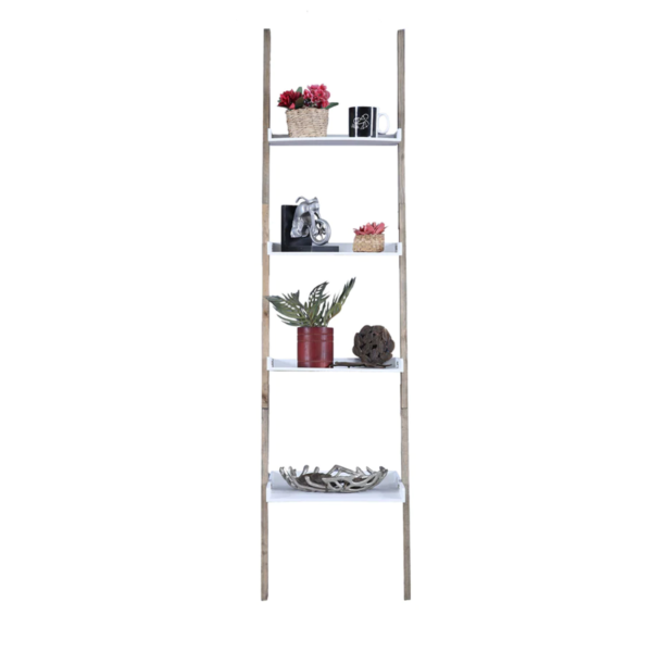 Dranrab Compact Ladder Display Unit & Book Shelf in White Colour by Fern India