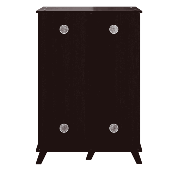 Yriak2 Door Shoe Cabinet in Wenge Finish by Fern India