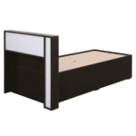 Eniabe Single Bed with Storage in Wenge Finish By Fern India